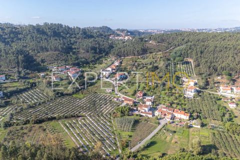 Terra a Coimbra, Coimbra, Coimbra - € 28.500 | Ref: TER_2818_FCOI - foto 11