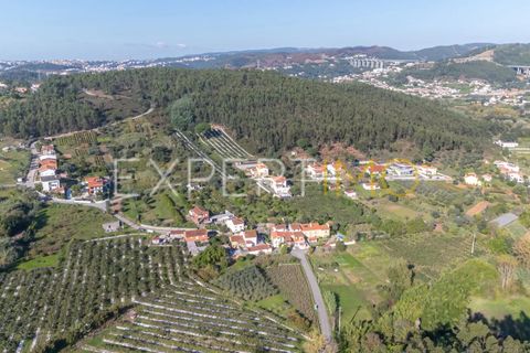 Terra a Coimbra, Coimbra, Coimbra - € 28.500 | Ref: TER_2818_FCOI - foto 12