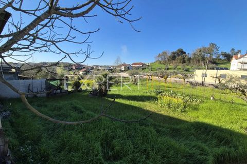 Villa i Mortagua, Viseu, Mortagua - € 67.500 | Ref: MOR_2841_ASIL - foto 5