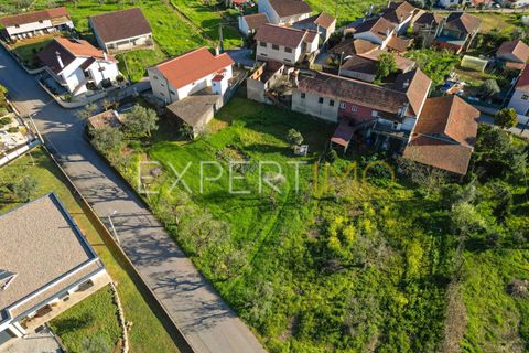 Villa i Mortagua, Viseu, Mortagua - € 67.500 | Ref: MOR_2841_ASIL - foto 8