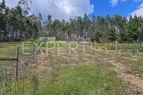 Villa a Pombal, Leiria, Pombal - € 400.000 | Ref: MOR_2852_SCAR - foto 32