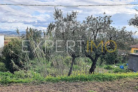 Villa i Antuzede e Vil de Matos, Coimbra, Antuzede e Vil de Matos - € 73.000 | Ref: MOR_2856_ASOU - foto 15
