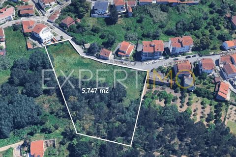 Terra a Coimbra, Coimbra, Coimbra - € 500.000 | Ref: TER_2858_ASOU - foto 2