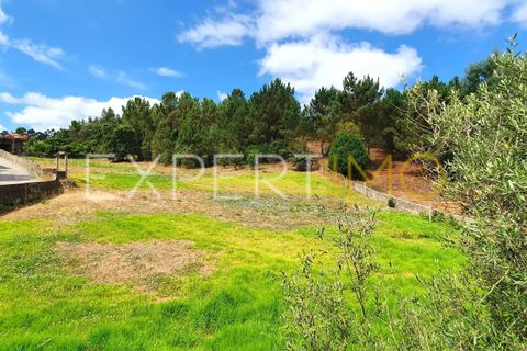 Terra a Coimbra, Coimbra, Coimbra - € 500.000 | Ref: TER_2858_ASOU - foto 3