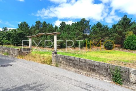 Terra a Coimbra, Coimbra, Coimbra - € 500.000 | Ref: TER_2858_ASOU - foto 4