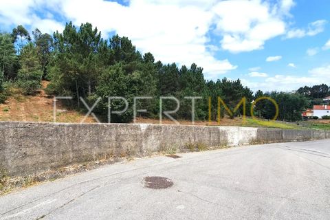 Terra a Coimbra, Coimbra, Coimbra - € 500.000 | Ref: TER_2858_ASOU - foto 5