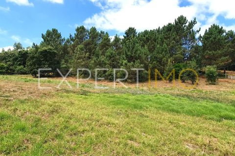 Terra a Coimbra, Coimbra, Coimbra - € 500.000 | Ref: TER_2858_ASOU - foto 6