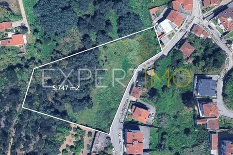 Terra a Coimbra, Coimbra, Coimbra - € 500.000 | Ref: TER_2858_ASOU - foto 7