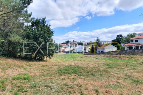 Terra a Coimbra, Coimbra, Coimbra - € 500.000 | Ref: TER_2858_ASOU - foto 8