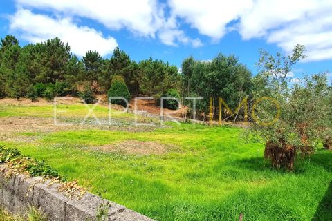 Terra a Coimbra, Coimbra, Coimbra - € 500.000 | Ref: TER_2858_ASOU - foto 9