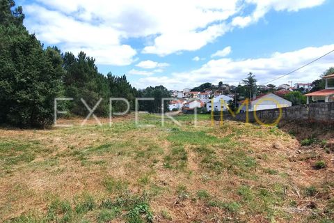 Terra a Coimbra, Coimbra, Coimbra - € 500.000 | Ref: TER_2858_ASOU - foto 10