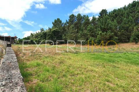 Terra a Coimbra, Coimbra, Coimbra - € 500.000 | Ref: TER_2858_ASOU - foto 11