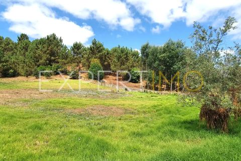 Terra a Coimbra, Coimbra, Coimbra - € 500.000 | Ref: TER_2858_ASOU - foto 12