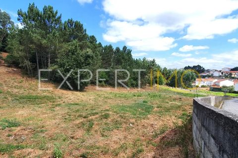 Terra a Coimbra, Coimbra, Coimbra - € 500.000 | Ref: TER_2858_ASOU - foto 13