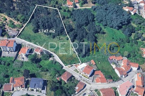 Terra a Coimbra, Coimbra, Coimbra - € 500.000 | Ref: TER_2858_ASOU - foto 14
