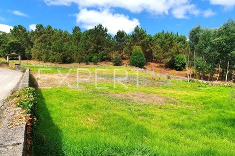 Terra a Coimbra, Coimbra, Coimbra - € 500.000 | Ref: TER_2858_ASOU - foto 15