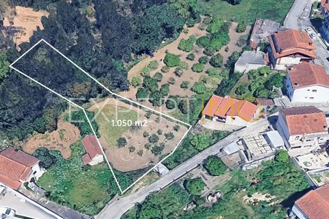Helårsgrund i Coimbra, Coimbra, Coimbra - € 85.000 | Ref: TER_2860_ASOU - foto 4