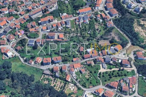 Helårsgrund i Coimbra, Coimbra, Coimbra - € 85.000 | Ref: TER_2860_ASOU - foto 5