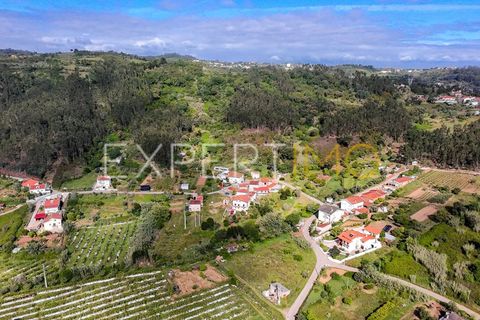 Villa a Coimbra, Coimbra, Coimbra - € 250.000 | Ref: MOR_2867_FCOI - foto 23