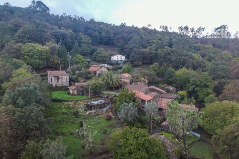Villa i Lousa, Coimbra, Lousa - € 140.000 | Ref: C0289-01885 - foto 46