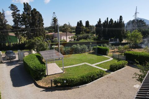 Villa i Alghero, Sassari, Alghero - € 698.000 | Ref: 14001 - foto 10