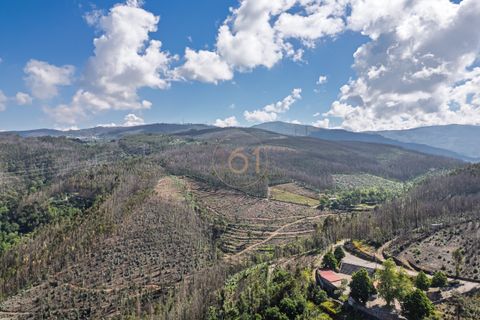 Helårsgrund i Arouca, Aveiro, Arouca - € 149.900 | Ref: T00112-RF - foto 8