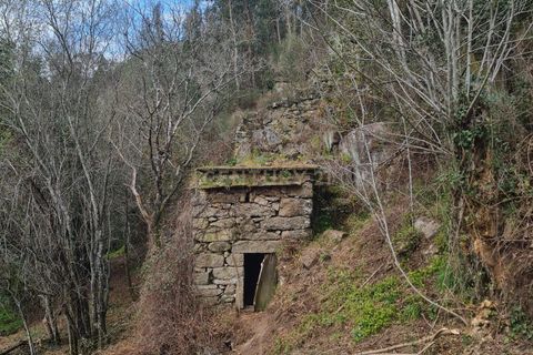 Farm hus i Penafiel, Porto, Penafiel - € 150.000 | Ref: C0471-00480 - foto 5