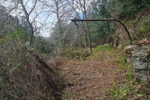 Farm hus i Penafiel, Porto, Penafiel - € 150.000 | Ref: C0471-00480 - foto 7