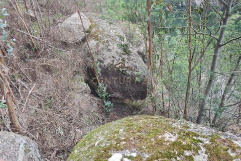 Farm hus i Penafiel, Porto, Penafiel - € 150.000 | Ref: C0471-00480 - foto 10