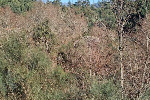 Farm hus i Penafiel, Porto, Penafiel - € 150.000 | Ref: C0471-00480 - foto 11