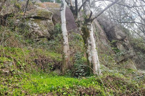 Farm hus i Penafiel, Porto, Penafiel - € 150.000 | Ref: C0471-00480 - foto 13