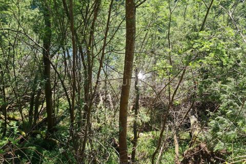 Farm hus i Penafiel, Porto, Penafiel - € 150.000 | Ref: C0471-00480 - foto 15