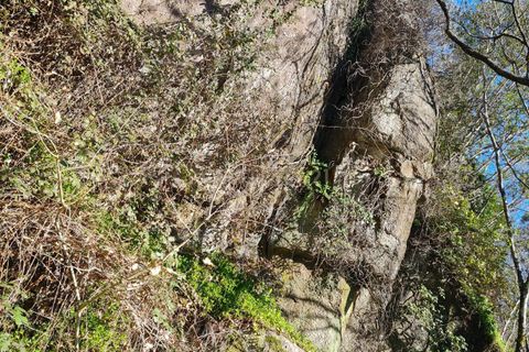 Farm hus i Penafiel, Porto, Penafiel - € 150.000 | Ref: C0471-00480 - foto 22