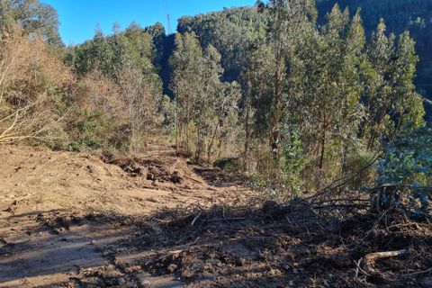 Farm hus i Penafiel, Porto, Penafiel - € 150.000 | Ref: C0471-00480 - foto 29