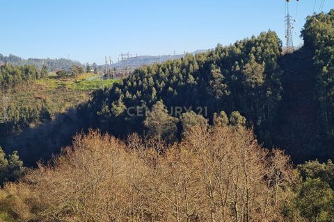 Farm hus i Penafiel, Porto, Penafiel - € 150.000 | Ref: C0471-00480 - foto 31