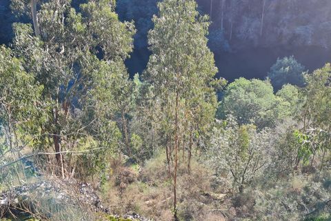 Farm hus i Penafiel, Porto, Penafiel - € 150.000 | Ref: C0471-00480 - foto 34