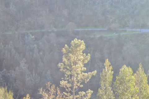 Farm hus i Penafiel, Porto, Penafiel - € 150.000 | Ref: C0471-00480 - foto 36