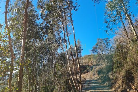 Farm hus i Penafiel, Porto, Penafiel - € 150.000 | Ref: C0471-00480 - foto 37