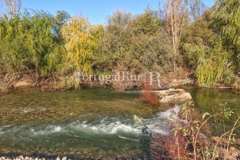 Farm i Belmonte, Castelo Branco, Belmonte - € 1.419.000 | Ref: IM501 - foto 2