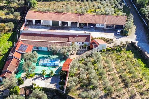 Farm i Belmonte, Castelo Branco, Belmonte - € 1.419.000 | Ref: IM501 - foto 4