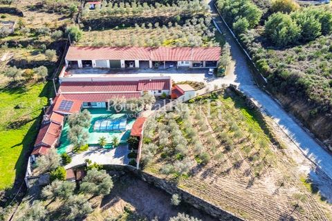 Farm i Belmonte, Castelo Branco, Belmonte - € 1.419.000 | Ref: IM501 - foto 3
