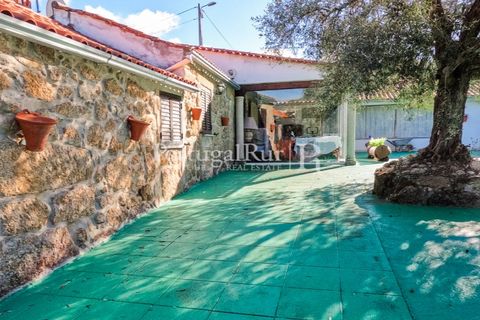 Farm i Belmonte, Castelo Branco, Belmonte - € 1.419.000 | Ref: IM501 - foto 11