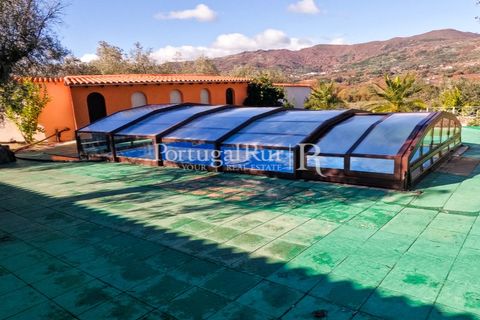 Farm i Belmonte, Castelo Branco, Belmonte - € 1.419.000 | Ref: IM501 - foto 26