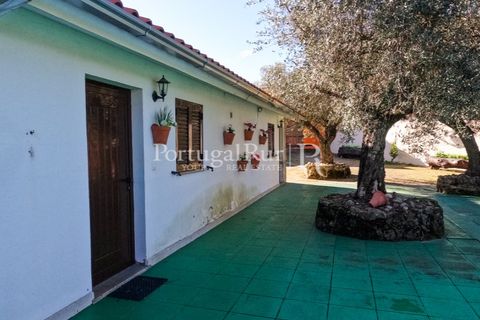 Farm i Belmonte, Castelo Branco, Belmonte - € 1.419.000 | Ref: IM501 - foto 27