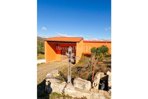 Farm i Belmonte, Castelo Branco, Belmonte - € 1.419.000 | Ref: IM501 - foto 36