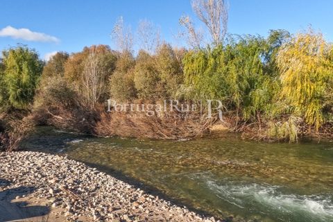 Farm i Belmonte, Castelo Branco, Belmonte - € 1.419.000 | Ref: IM501 - foto 40