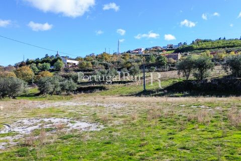 Farm i Belmonte, Castelo Branco, Belmonte - € 1.419.000 | Ref: IM501 - foto 41