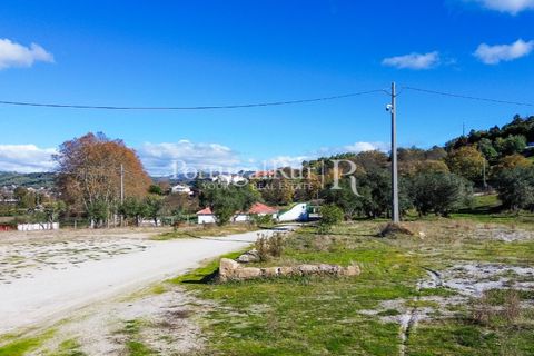 Farm i Belmonte, Castelo Branco, Belmonte - € 1.419.000 | Ref: IM501 - foto 43