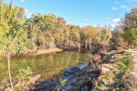 Farm i Belmonte, Castelo Branco, Belmonte - € 1.419.000 | Ref: IM501 - foto 44