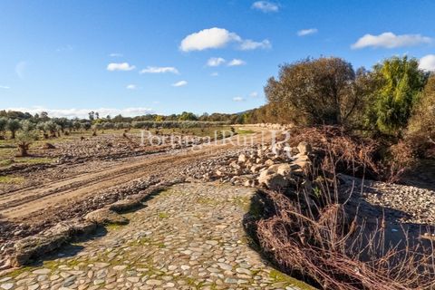 Farm i Belmonte, Castelo Branco, Belmonte - € 1.419.000 | Ref: IM501 - foto 45